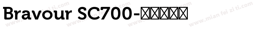 Bravour SC700字体转换